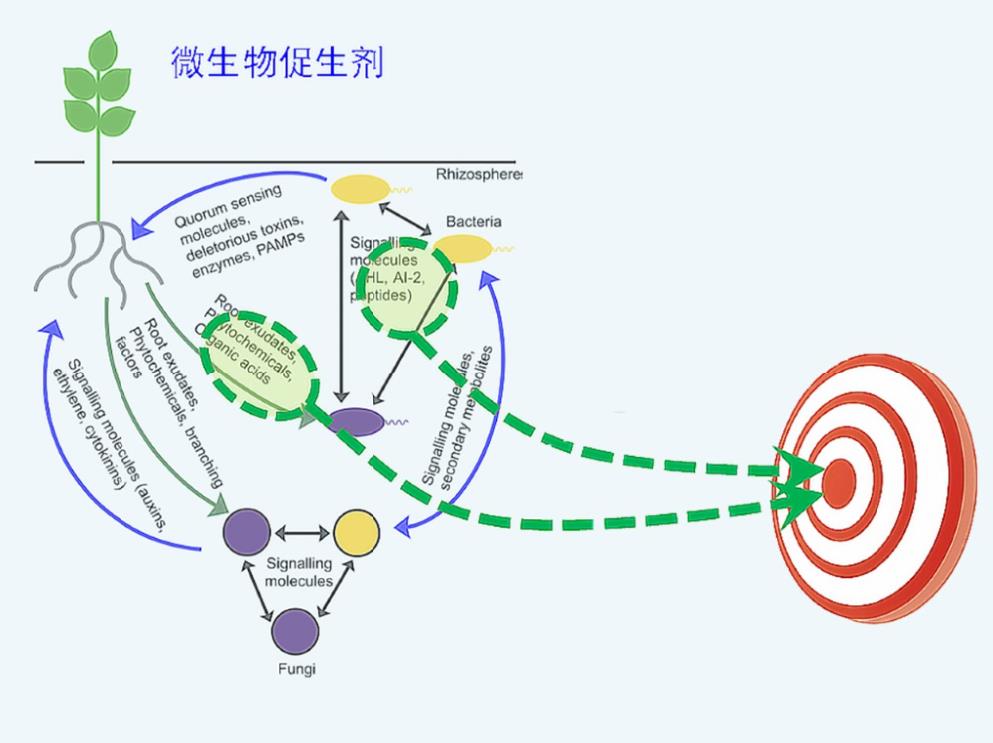 微生物促生劑